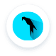 Parrot